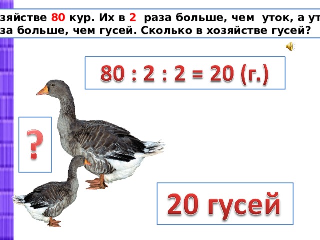 Во дворе гуляют утки гуси. Размеры гуся. Задачу про кур уток и гусей. 1 Гусь и 3 утки. Утка размером с гуся.