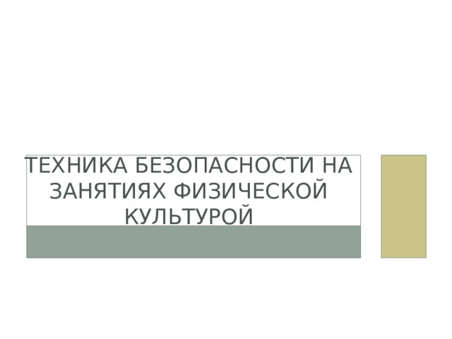 Техника безопасности на занятиях физической культурой 