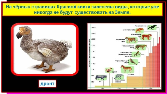 Красная книга 1 класс окружающий мир презентация перспектива