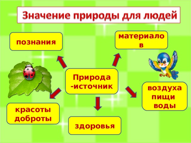 Человек и природа презентация 5 класс биология