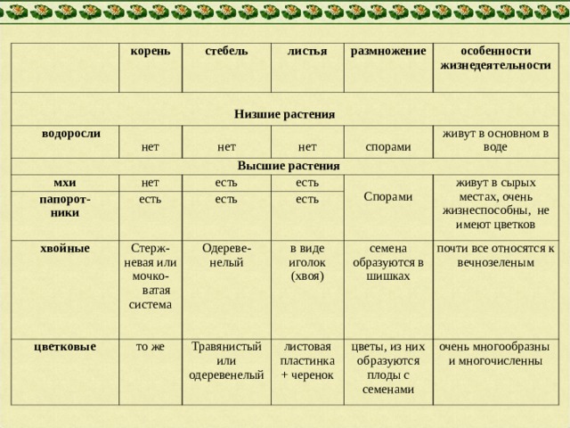 Корни есть листьев нет. Таблица водоросли мхи 6 класс биология. Особенности жизнедеятельности. Строение и разнообразие растений. Особенности жизнедеятельности водорослей.
