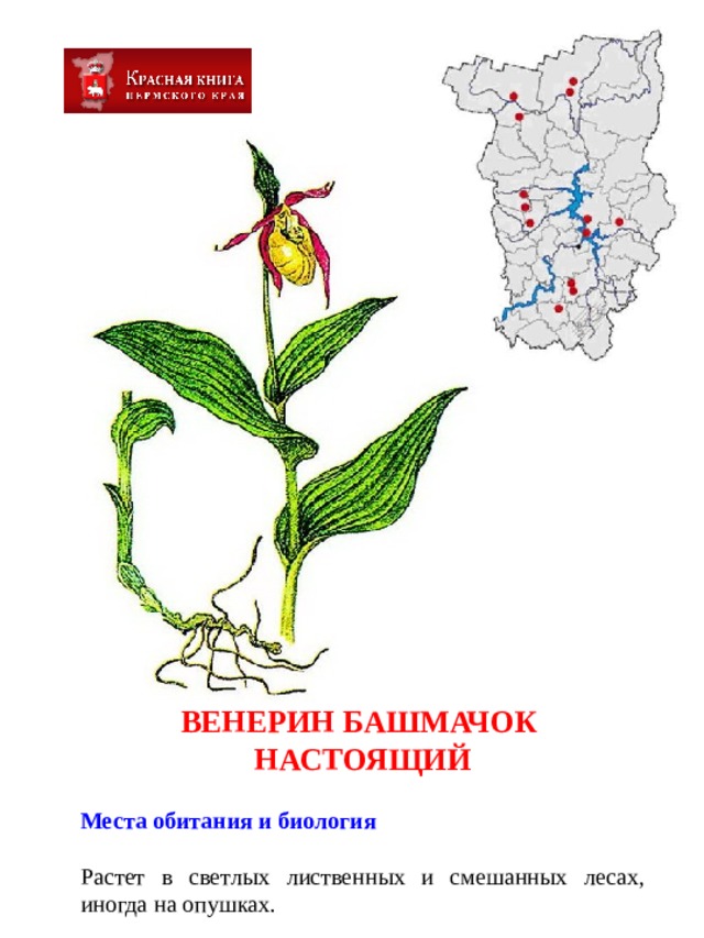 Красная книга растений пермского