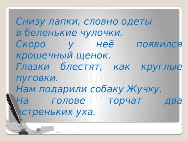 Снизу лапки, словно одеты  в беленькие чулочки. Скоро у неё появился крошечный щенок. Глазки блестят, как круглые пуговки. Нам подарили собаку Жучку. На голове торчат два остреньких уха. 