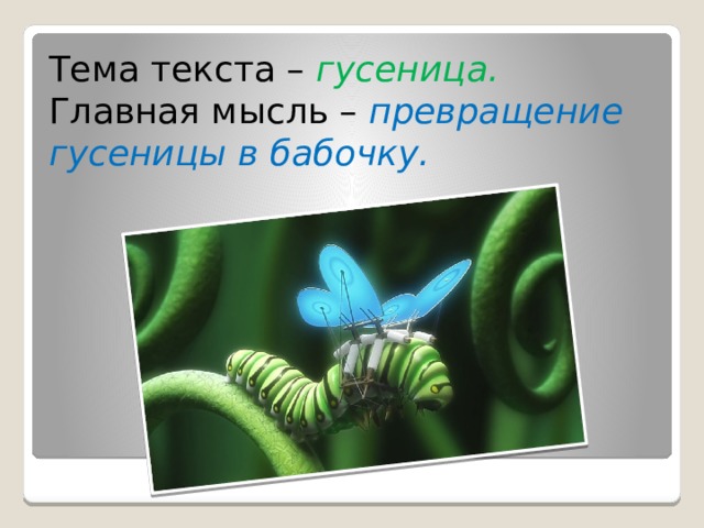Тема текста – гусеница. Главная мысль – превращение  гусеницы в бабочку. 