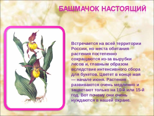 Сценарий эрудициона для учащихся 7-8 классов "Растенья - людям польза и отрада"