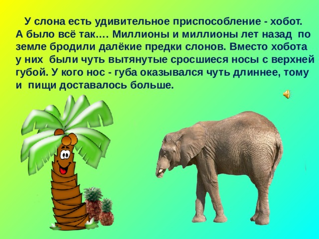 Возникновение хобота у слона можно объяснить