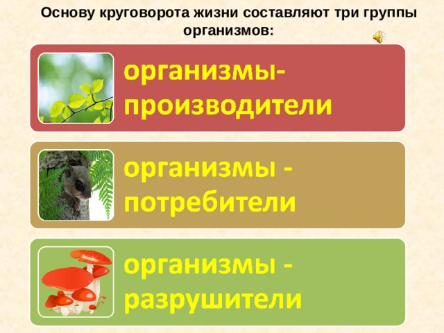 Организмы производители 3. Организмы производители и потребители. Производители потребители Разрушители. Потребители в природе. Три группы организмов.