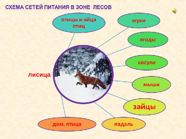 3 класс окружающий мир великий круговорот жизни. Цепь питания Великий круговорот жизни. Звенья круговорота жизни 3 класс. Основные звенья круговорота жизни 3 класс. Цепочка круговорота жизни 3 класс.