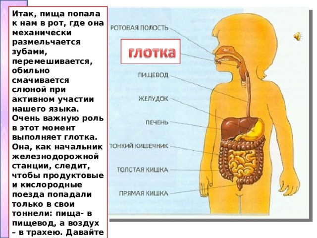 Кусочек пищи застрял