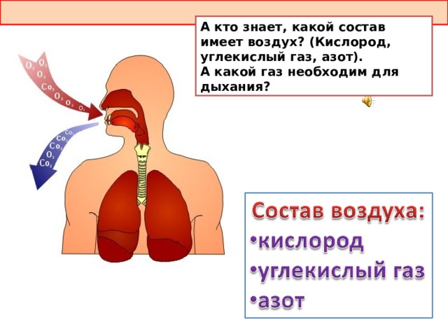 Вдыхаемый воздух кислород и углекислый газ