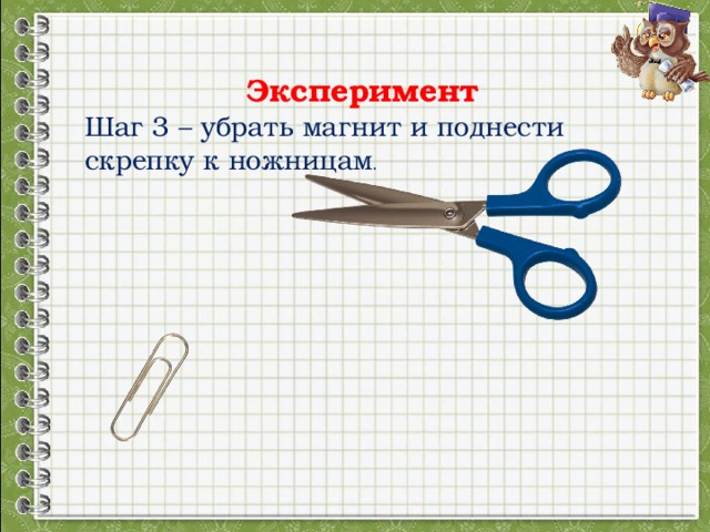 Для чего используют магниты естествознание 2 класс. Смотреть фото Для чего используют магниты естествознание 2 класс. Смотреть картинку Для чего используют магниты естествознание 2 класс. Картинка про Для чего используют магниты естествознание 2 класс. Фото Для чего используют магниты естествознание 2 класс