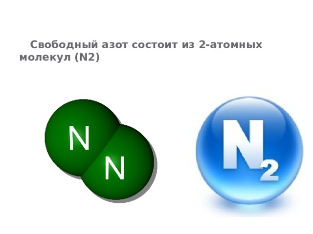 Молекула азота состоит. Атомный номер азота. Атомная масса азота. Свободный азот. Азот знак.