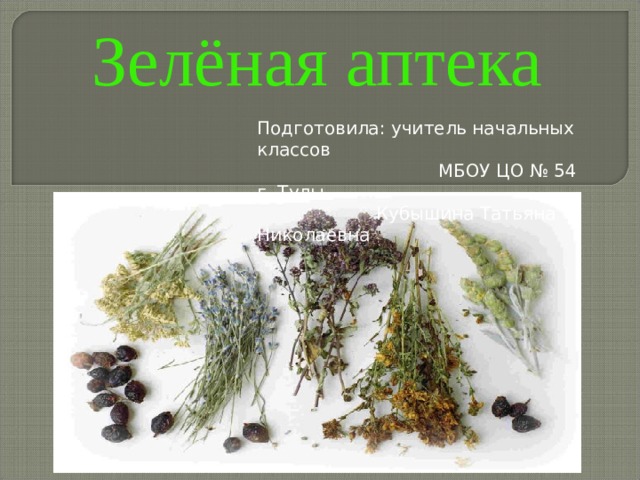 Презентация зеленая аптека 1 класс