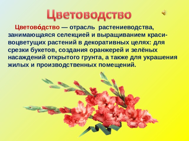 Декоративное цветоводство сообщение 7 класс биология. Цветоводство презентация. Презентация на тему цветоводство. Отрасли цветоводства. Цветоводство отрасль растениеводства.