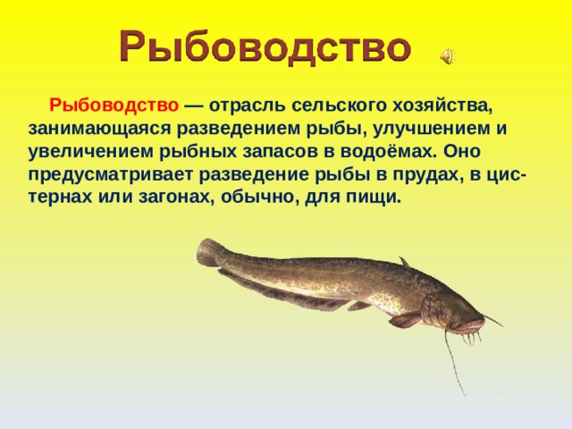 Презентация по окружающему миру " Животноводство" 3 класс
