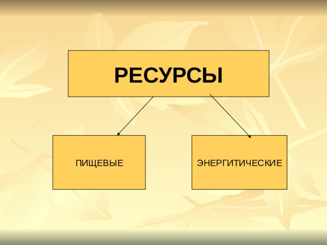 Презентация по биологии 9 класс экологические ресурсы