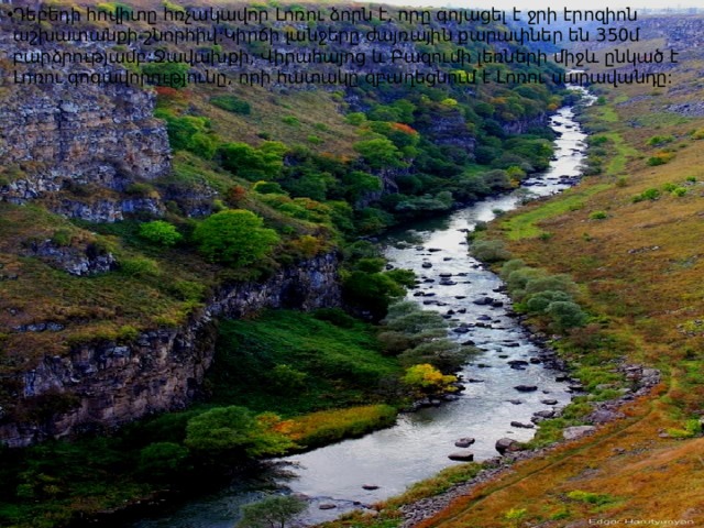 Դեբեդի հովիտը հռչակավոր Լոռու ձորն է, որը գոյացել է ջրի էրոզիոն աշխատանքի շնորհիվ:Կիրճի լանջերը ժայռային քարափներ են 350մ բարձրությամբ:Ջավախքի, Վիրահայոց և Բազումի լեռների միջև ընկած է Լոռու գոգավորությունը, որի հատակը զբաղեցնում է Լոռու սարավանդը: 