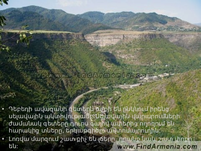 Դեբեդի ավազանի գետերն աչքի են ընկնում իրենց սելավային ակտիվությամբ:Սելավային վարարումների ժամանակ գետերը դուրս գալով ափերից ողողում են հարակից տները, երկաթգիծը, ավտոմայրուղին: Լոռվա մարզում շատ քիչ են լճերը, դրանք նաև շատ փոքր են: 
