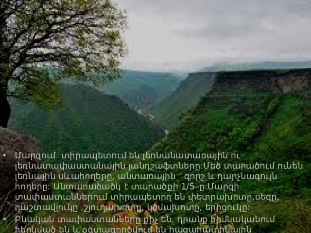 Մարզում տիրապետում են լեռնանատառային ու լեռնատափաստանային լանդշաֆտները:Մեծ տարածում ունեն լեռնային սևահողերը, անտառային գորշ և դարչնագույն հողերը: Անտառածածկ է տարածքի 1/5–ը:Մարզի տափաստաններում տիրապետող են փետրախոտը,սեզը, դաշտավլուկը ,շյուղախոտը, կծմախոտը, երիցուկը: Բնական տափաստանները քիչ են, դրանք հիմնականում հերկված են և օգտագործվում են հացահատիկային մշակաբույսերի և կարտոֆիլի մշակության համար 