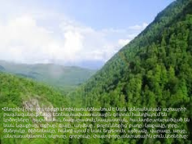 Շնորհիվ իր աշխ դիրքի Լոռին առանձնանում է նաև կենդանական աշխարհի բազմազանությամբ: Լեռնատափաստանային գոտում հանդիպում են կրծողները` դաշտամուկ,ճագարամուկ,նապաստակ, համստեր,տարածված են նաև կզաքիսը, աքիսը, գայլը, աղվեսը , թռչուններից`բադը, կաքավը, լորը, ճնճղուկը, ծիծեռնակը, հանդիպում է նաև եղջերուն, այծյամը, վարազը, արջը, անտառակատուն, սկյուռը, գորշուկը, փայտփորը,անտառային բուն,կեռնեխը: 