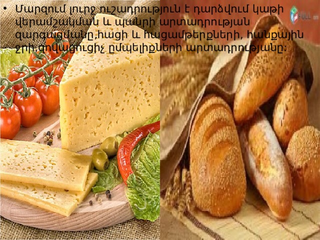 Մարզում լուրջ ուշադրություն է դարձվում կաթի վերամշակման և պանրի արտադրության զարգացմանը,հացի և հացամթերքների, հանքային ջրի,զովացուցիչ ըմպելիքների արտադրությանը: 