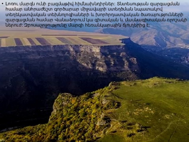 Լոռու մարզն ունի բազմաթիվ հիմնախնդիրներ: Տնտեսության զարգացման համար անհրաժեշտ գործարար միջավայրի ստեղծման նպատակով տեղեկատվական տեխնոլոգիաների և խորհրդատվական ծառայությունների զարգացման համար Վանաձորում կա գիտական և մասնագիտական որոշակի ներուժ: Զբոսաշրջությունը մարզի հեռանկարային ճյուղերից է: 