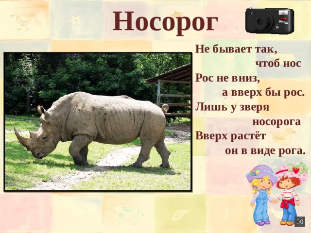 Носорог Не бывает так,  чтоб нос Рос не вниз,  а вверх бы рос. Лишь у зверя  носорога Вверх растёт  он в виде рога.