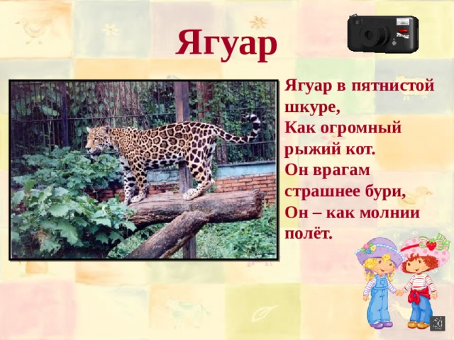 Проект про ягуар