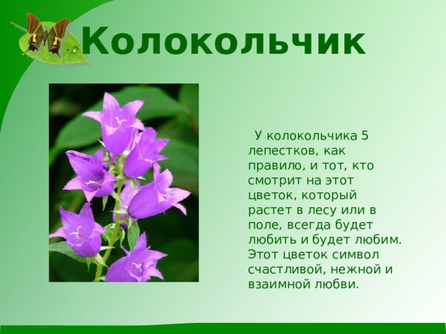 Колокольчик    У колокольчика 5 лепестков, как правило, и тот, кто смотрит на этот цветок, который растет в лесу или в поле, всегда будет любить и будет любим. Этот цветок символ счастливой, нежной и взаимной любви. 