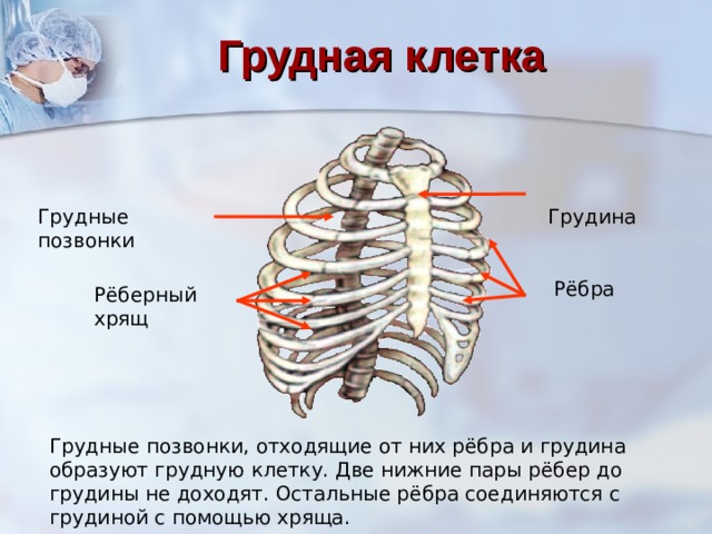 Что значит ход ребер косой