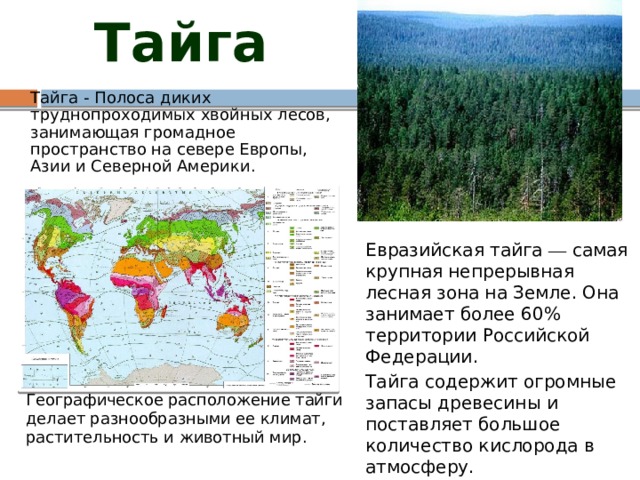 Описание тайги по плану 7 класс география