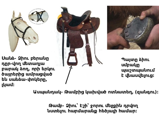 Սանձ- Ձիու բերանը դ ը ր - վող մետաղյա բարա կ ձող, որի երկու ծայրերից ամրացված են սանձա - փոկերը, լկամ: Պայտը ձիու սմբակը պաշտպանում է վնասվելուց: Ասպանդակ- Թամբից կախված ոտնատեղ, (զանգու):   Թամբ- Ձիու՝ Էշի՝ ջորու մեջքին դրվող նստելու հարմարանք հեծյալի համար: 