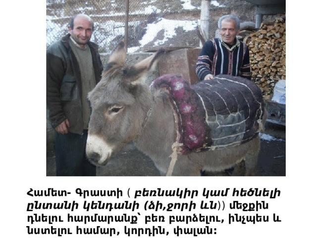Համետ- Գրաստի ( բ եռնակիր կամ հեծնելի ընտանի կենդանի (ձի,ջորի ևն )) մեջքին դնելու հարմարանք՝ բեռ բարձելու, ինչպես և նստելու համար, կորդին, փալան: 