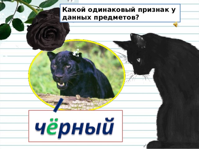 Какой одинаковый. Одинаковые признаки.