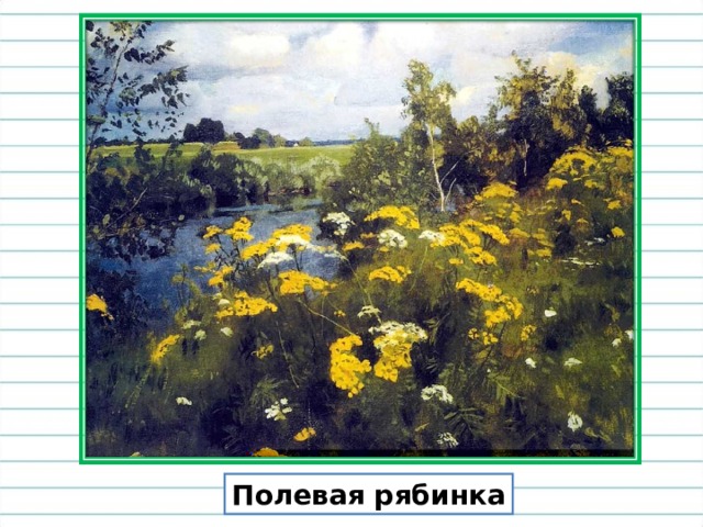 Полевая рябинка 