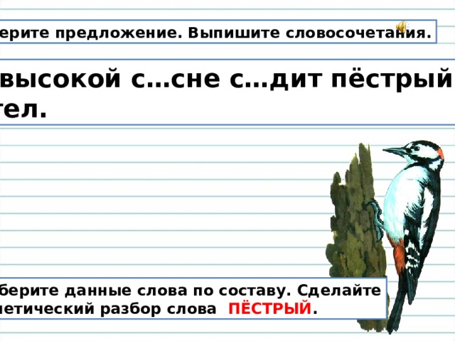 Предложения со словом пестрый. Разбор слова пестрый. Составить предложение со словом пестрый дятел.