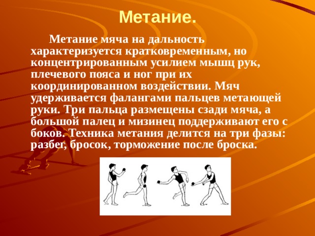 Метание.            Метание мяча на дальность характеризуется кратковременным, но концентрированным усилием мышц рук, плечевого пояса и ног при их координированном воздействии. Мяч удерживается фалангами пальцев метающей руки. Три пальца размещены сзади мяча, а большой палец и мизинец поддерживают его с боков. Техника метания делится на три фазы: разбег, бросок, торможение после броска.  