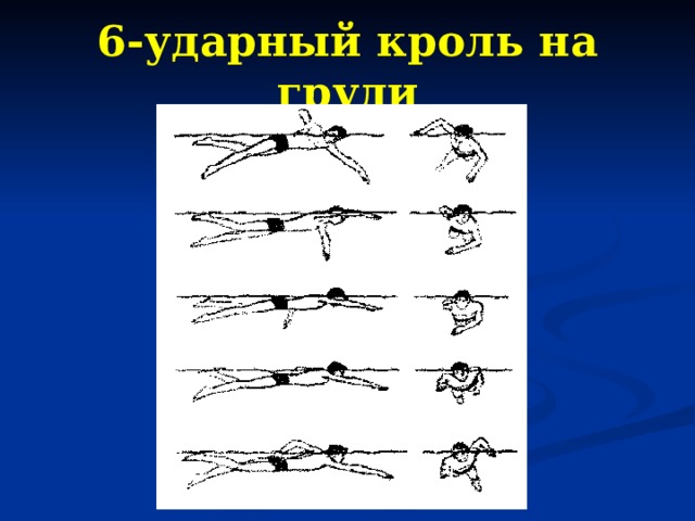 Плавание кролем техника видео. 4 Ударный Кроль. Виды плавания Кроль на спине. Кроль на груди. Техника плавания кролем пошагово для начинающих.