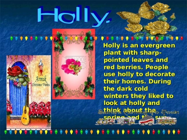  Holly is an evergreen plant with sharp-pointed leaves and red berries. People use holly to decorate their homes. During the dark cold winters they liked to look at holly and think about the spring and the sun. 