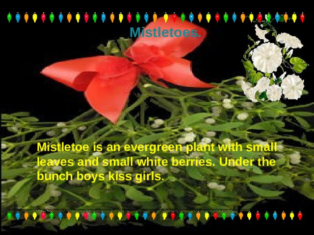 Mistletoes. Mistletoe is an evergreen plant with small leaves and small white berries. Under the bunch boys kiss girls . 