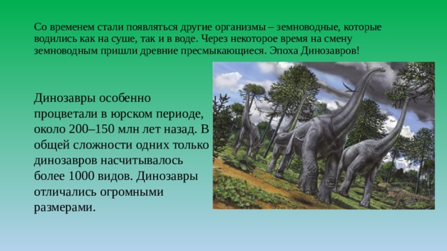 Используя информационные ресурсы подготовьте презентацию проекта о восстановлении численности