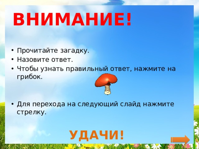 Загадка называется