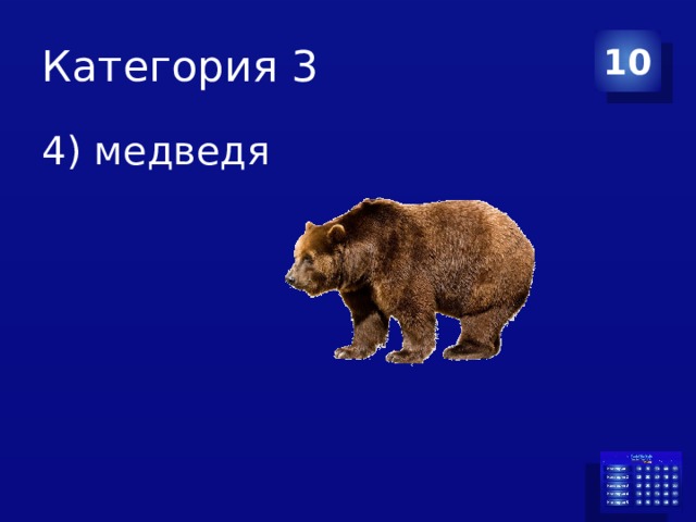 Категория 3 10 4) медведя 