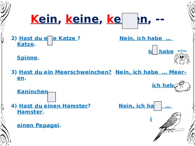 K ein , k eine , k einen , -- 2) Hast du eine Katze ? Nein, ich habe … Katze .  Ich habe eine Spinne .  3) Hast du ein Meerschweinchen?  Nein, ich habe … Meer-en .  ich habe ein Kaninchen.  4) Hast du einen Hamster ? Nein, ich habe … Hamster .  ich habe einen Papagei . 