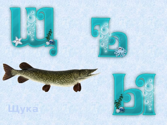 Щука 