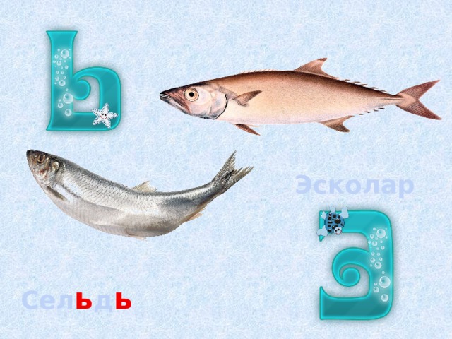 Эсколар Сел ь д ь 