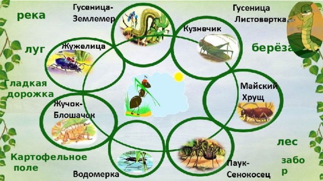 Приключения муравьишки бианки план пересказа 3 класс