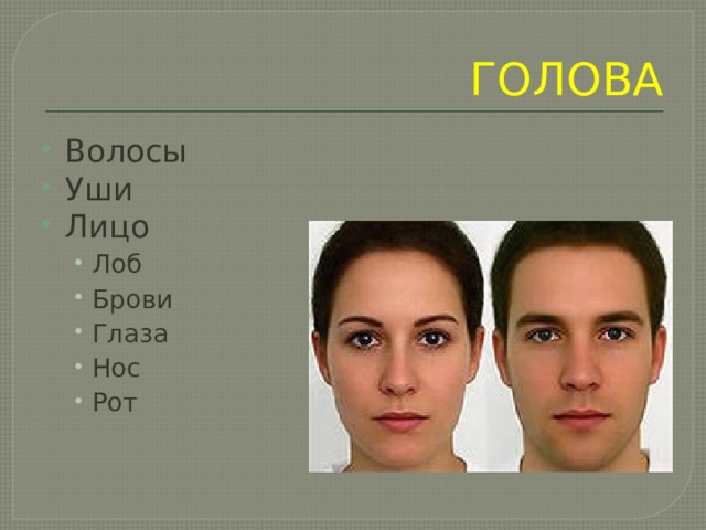 Части лица человека презентация. Ушки для лица. Голова: волос, уши, лицо 1 класс 2 вариант. Сочинение лицо брови нос глаза. Германий голова. Части лица человека презентация. Ушки для лица. Голова: волос, уши, лицо 1 класс 2 вариант. Сочинение лицо брови нос глаза.