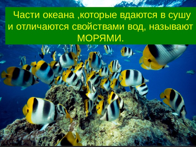  Части океана ,которые вдаются в сушу и отличаются свойствами вод, называют МОРЯМИ. 