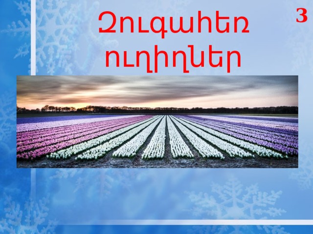 Զուգահեռ ուղիղներ 3 